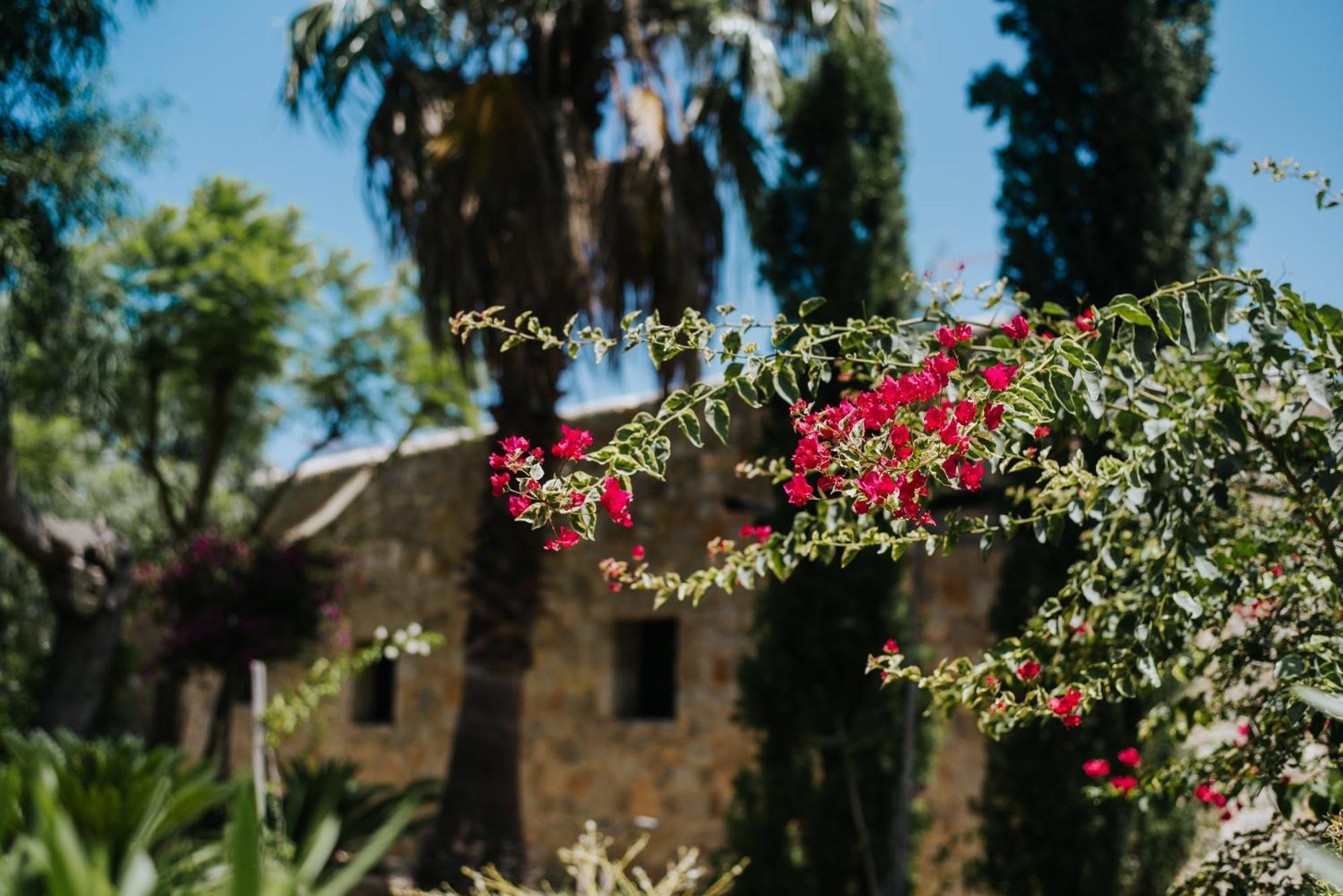 Villa & Guesthouse Paissa D'En Bernat Cala Tarida  Εξωτερικό φωτογραφία